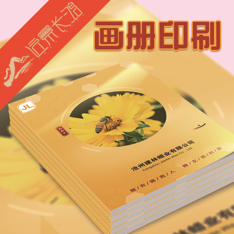 司產(chǎn)品圖冊說明書  企業(yè)宣傳畫冊印刷設(shè)計(jì)公 印刷畫冊